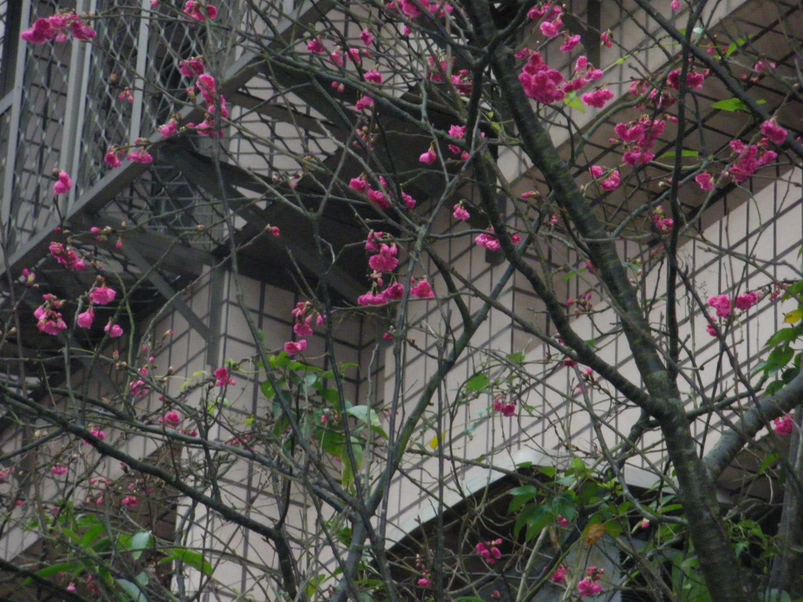 df00211e09b49fff6efeb265996cdc37.JPG